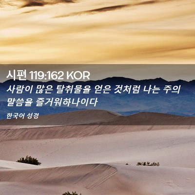 Picture 02 - 시편 119:162 KOR - 사람이 많은 탈취물을 얻은 것처럼 - Bible Verse Picture