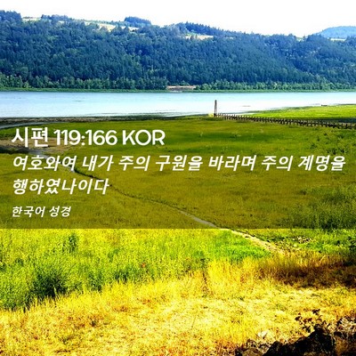 Picture 02 - 시편 119:166 KOR - 여호와여 내가 주의 구원을 바라며 - Bible Verse Picture