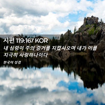 Picture 02 - 시편 119:167 KOR - 내 심령이 주의 증거를 지켰사오며 - Bible Verse Picture