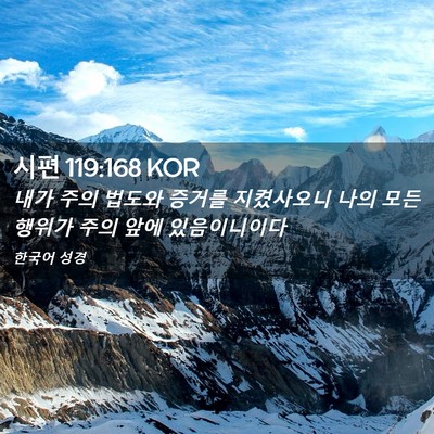 Picture 02 - 시편 119:168 KOR - 내가 주의 법도와 증거를 지켰사오니 - Bible Verse Picture