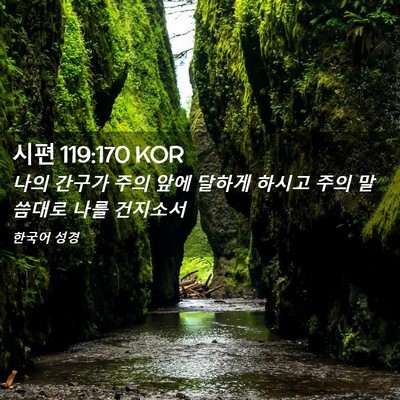 Picture 02 - 시편 119:170 KOR - 나의 간구가 주의 앞에 달하게 - Bible Verse Picture