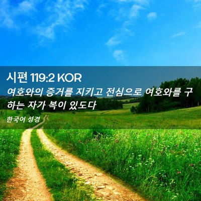 Picture 02 - 시편 119:2 KOR - 여호와의 증거를 지키고 전심으로 - Bible Verse Picture