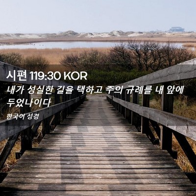 Picture 02 - 시편 119:30 KOR - 내가 성실한 길을 택하고 주의 - Bible Verse Picture