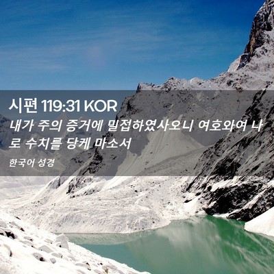 Picture 02 - 시편 119:31 KOR - 내가 주의 증거에 밀접하였사오니 - Bible Verse Picture