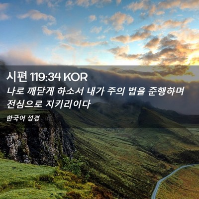 Picture 02 - 시편 119:34 KOR - 나로 깨닫게 하소서 내가 주의 법을 - Bible Verse Picture