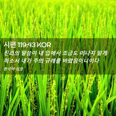 Picture 02 - 시편 119:43 KOR - 진리의 말씀이 내 입에서 조금도 - Bible Verse Picture