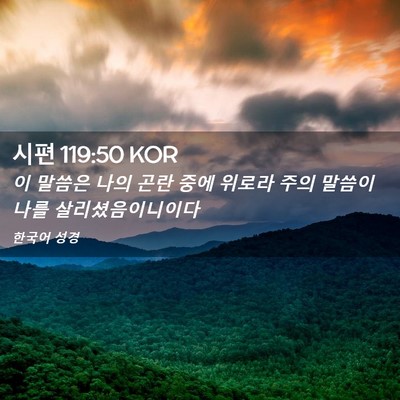 Picture 02 - 시편 119:50 KOR - 이 말씀은 나의 곤란 중에 위로라 - Bible Verse Picture