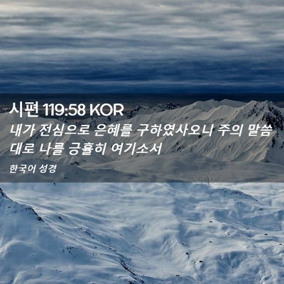 Picture 02 - 시편 119:58 KOR - 내가 전심으로 은혜를 구하였사오니 - Bible Verse Picture