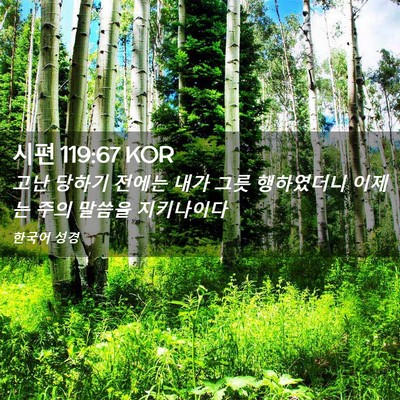 Picture 02 - 시편 119:67 KOR - 고난 당하기 전에는 내가 그릇 - Bible Verse Picture