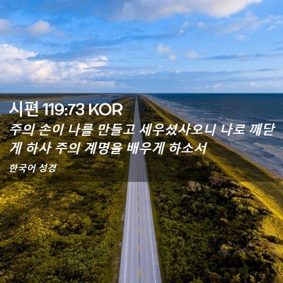 Picture 02 - 시편 119:73 KOR - 주의 손이 나를 만들고 세우셨사오니 - Bible Verse Picture