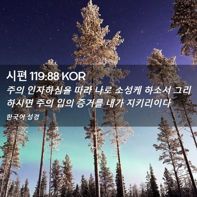 Picture 02 - 시편 119:88 KOR - 주의 인자하심을 따라 나로 소성케 - Bible Verse Picture