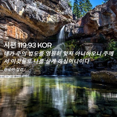 Picture 02 - 시편 119:93 KOR - 내가 주의 법도를 영원히 잊지 - Bible Verse Picture
