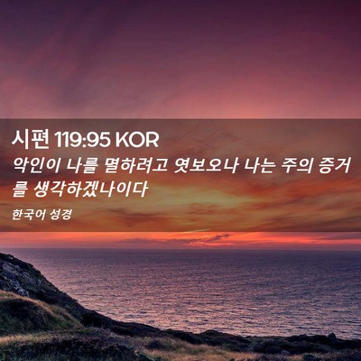Picture 02 - 시편 119:95 KOR - 악인이 나를 멸하려고 엿보오나 나는 - Bible Verse Picture