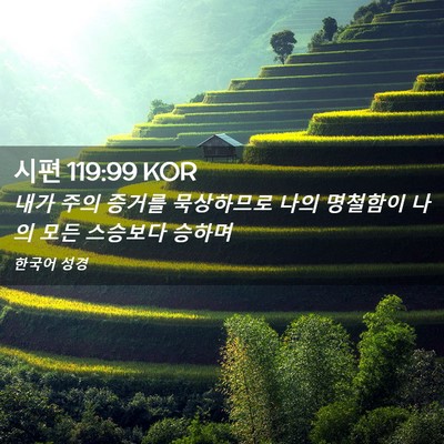 Picture 02 - 시편 119:99 KOR - 내가 주의 증거를 묵상하므로 나의 - Bible Verse Picture