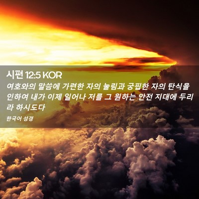 Picture 02 - 시편 12:5 KOR - 여호와의 말씀에 가련한 자의 눌림과 - Bible Verse Picture
