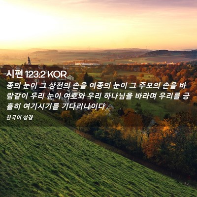 Picture 02 - 시편 123:2 KOR - 종의 눈이 그 상전의 손을 여종의 - Bible Verse Picture
