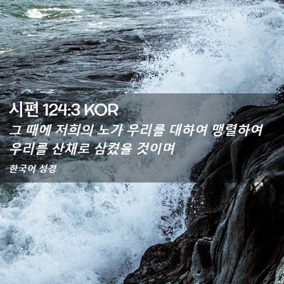 Picture 02 - 시편 124:3 KOR - 그 때에 저희의 노가 우리를 대하여 - Bible Verse Picture
