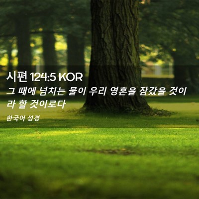 Picture 02 - 시편 124:5 KOR - 그 때에 넘치는 물이 우리 영혼을 - Bible Verse Picture