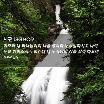 Picture 02 - 시편 13:3 KOR - 여호와 내 하나님이여 나를 생각하사 - Bible Verse Picture