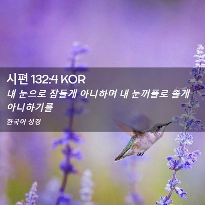 Picture 02 - 시편 132:4 KOR - 내 눈으로 잠들게 아니하며 내 - Bible Verse Picture