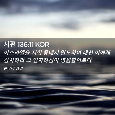 Picture 02 - 시편 136:11 KOR - 이스라엘을 저희 중에서 인도하여 - Bible Verse Picture