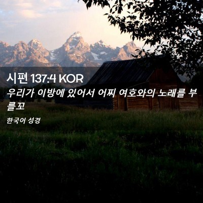 Picture 02 - 시편 137:4 KOR - 우리가 이방에 있어서 어찌 여호와의 - Bible Verse Picture