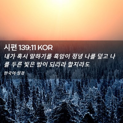 Picture 02 - 시편 139:11 KOR - 내가 혹시 말하기를 흑암이 정녕 - Bible Verse Picture