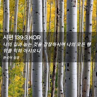Picture 02 - 시편 139:3 KOR - 나의 길과 눕는 것을 감찰하시며 - Bible Verse Picture