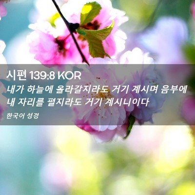 Picture 02 - 시편 139:8 KOR - 내가 하늘에 올라갈지라도 거기 - Bible Verse Picture