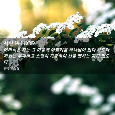Picture 02 - 시편 14:1 KOR - 어리석은 자는 그 마음에 이르기를 - Bible Verse Picture