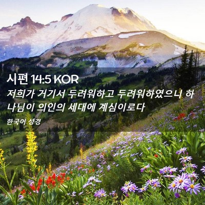Picture 02 - 시편 14:5 KOR - 저희가 거기서 두려워하고 - Bible Verse Picture