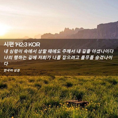 Picture 02 - 시편 142:3 KOR - 내 심령이 속에서 상할 때에도 - Bible Verse Picture