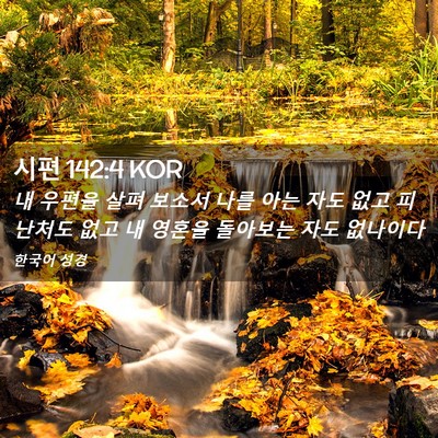 Picture 02 - 시편 142:4 KOR - 내 우편을 살펴 보소서 나를 아는 - Bible Verse Picture