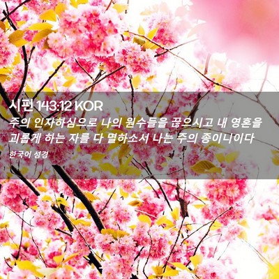 Picture 02 - 시편 143:12 KOR - 주의 인자하심으로 나의 원수들을 - Bible Verse Picture