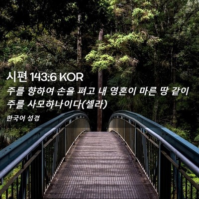 Picture 02 - 시편 143:6 KOR - 주를 향하여 손을 펴고 내 영혼이 - Bible Verse Picture
