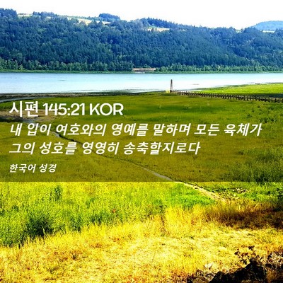 Picture 02 - 시편 145:21 KOR - 내 입이 여호와의 영예를 말하며 - Bible Verse Picture