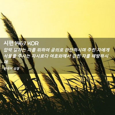 Picture 02 - 시편 146:7 KOR - 압박 당하는 자를 위하여 공의로 - Bible Verse Picture