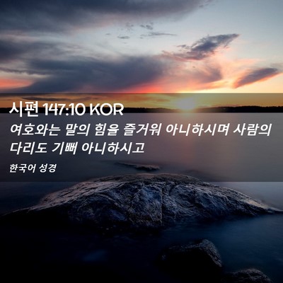 Picture 02 - 시편 147:10 KOR - 여호와는 말의 힘을 즐거워 - Bible Verse Picture