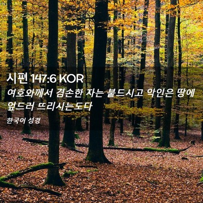 Picture 02 - 시편 147:6 KOR - 여호와께서 겸손한 자는 붙드시고 - Bible Verse Picture