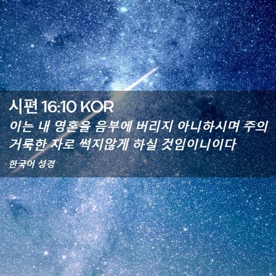 Picture 02 - 시편 16:10 KOR - 이는 내 영혼을 음부에 버리지 - Bible Verse Picture