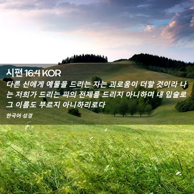 Picture 02 - 시편 16:4 KOR - 다른 신에게 예물을 드리는 자는 - Bible Verse Picture