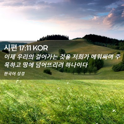 Picture 02 - 시편 17:11 KOR - 이제 우리의 걸어가는 것을 저희가 - Bible Verse Picture