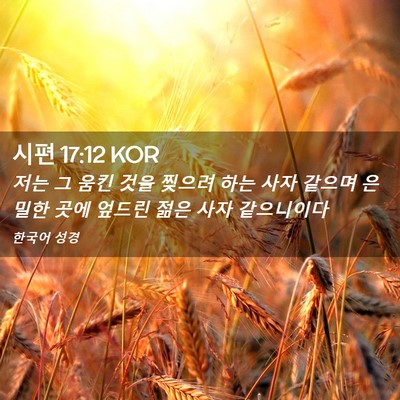 Picture 02 - 시편 17:12 KOR - 저는 그 움킨 것을 찢으려 하는 사자 - Bible Verse Picture