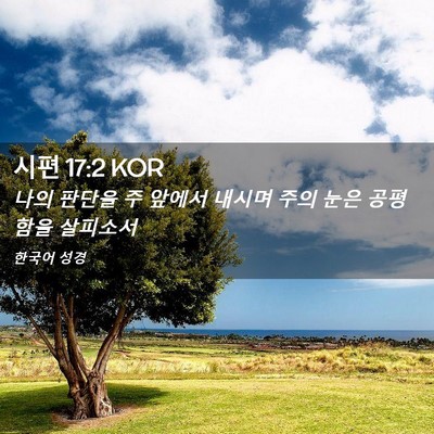 Picture 02 - 시편 17:2 KOR - 나의 판단을 주 앞에서 내시며 주의 - Bible Verse Picture