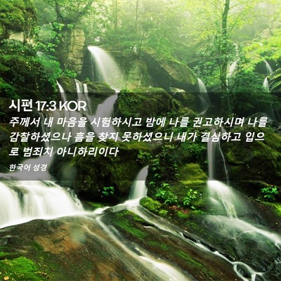 Picture 02 - 시편 17:3 KOR - 주께서 내 마음을 시험하시고 밤에 - Bible Verse Picture