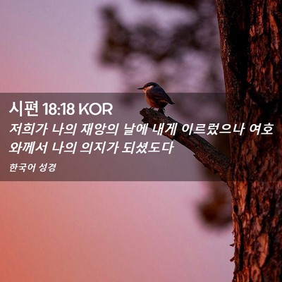Picture 02 - 시편 18:18 KOR - 저희가 나의 재앙의 날에 내게 - Bible Verse Picture