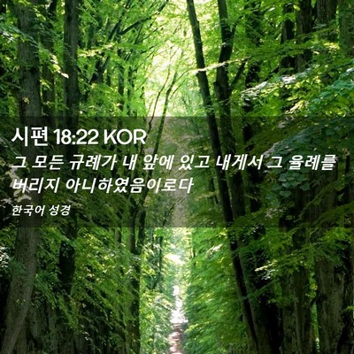 Picture 02 - 시편 18:22 KOR - 그 모든 규례가 내 앞에 있고 내게서 - Bible Verse Picture
