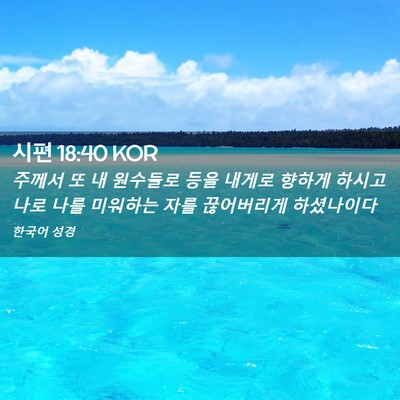 Picture 02 - 시편 18:40 KOR - 주께서 또 내 원수들로 등을 내게로 - Bible Verse Picture