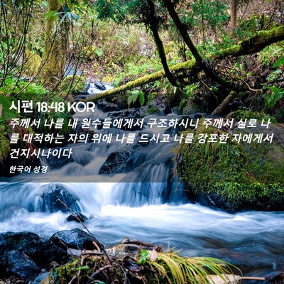 Picture 02 - 시편 18:48 KOR - 주께서 나를 내 원수들에게서 - Bible Verse Picture
