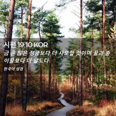 Picture 02 - 시편 19:10 KOR - 금 곧 많은 정금보다 더 사모할 - Bible Verse Picture